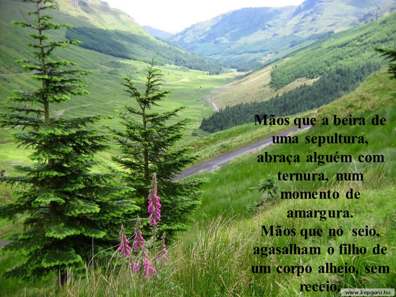 Mãos que a beira de uma sepultura, abraça alguém com ternura, num momento de